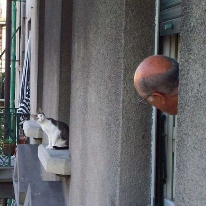 32 Times Photographers Were Totally Nailing It With Perfectly Timed Hilarious Shots