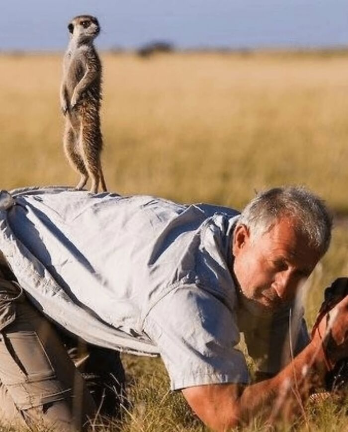 32 Times Photographers Were Totally Nailing It With Perfectly Timed Hilarious Shots