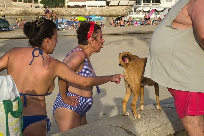 32 Times Photographers Were Totally Nailing It With Perfectly Timed Hilarious Shots