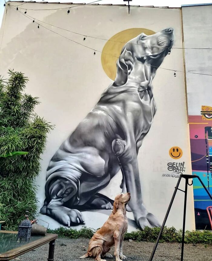 41 Mind-Blowing Street Art Pieces That’ll Totally Change How You See Walls