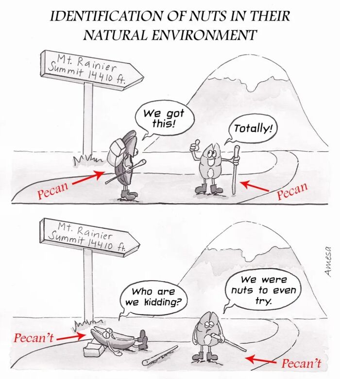 22 Comics That Sneakily Turn Everyday Sayings Into Hilarious Surprises