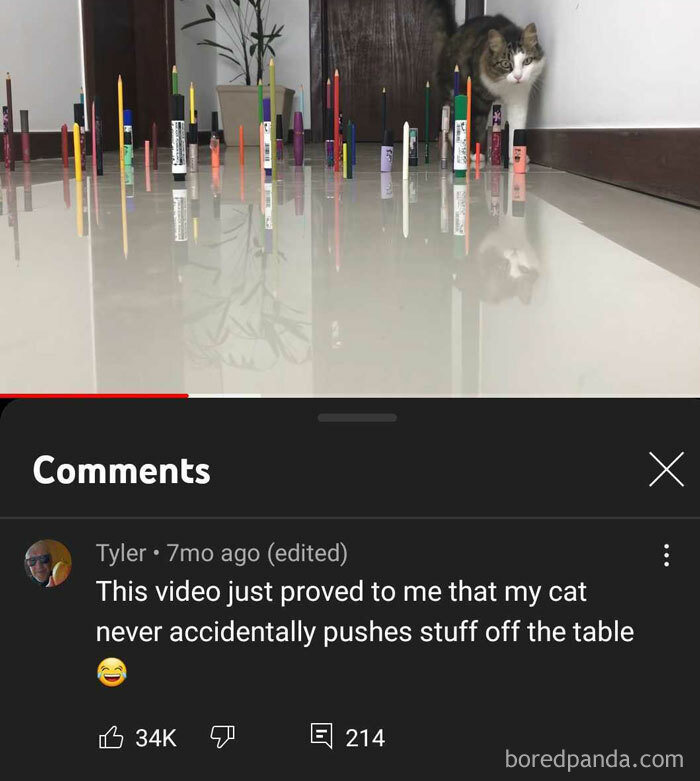 You Won't Believe These YouTube Comments Totally Took Over!