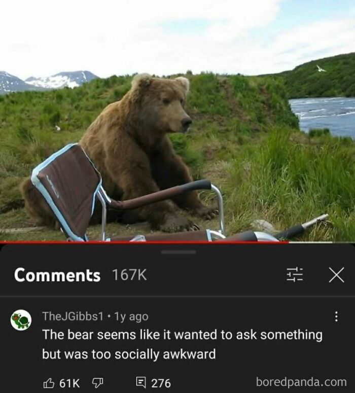You Won't Believe These YouTube Comments Totally Took Over!