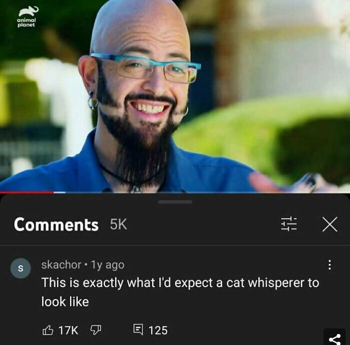 You Won't Believe These YouTube Comments Totally Took Over!