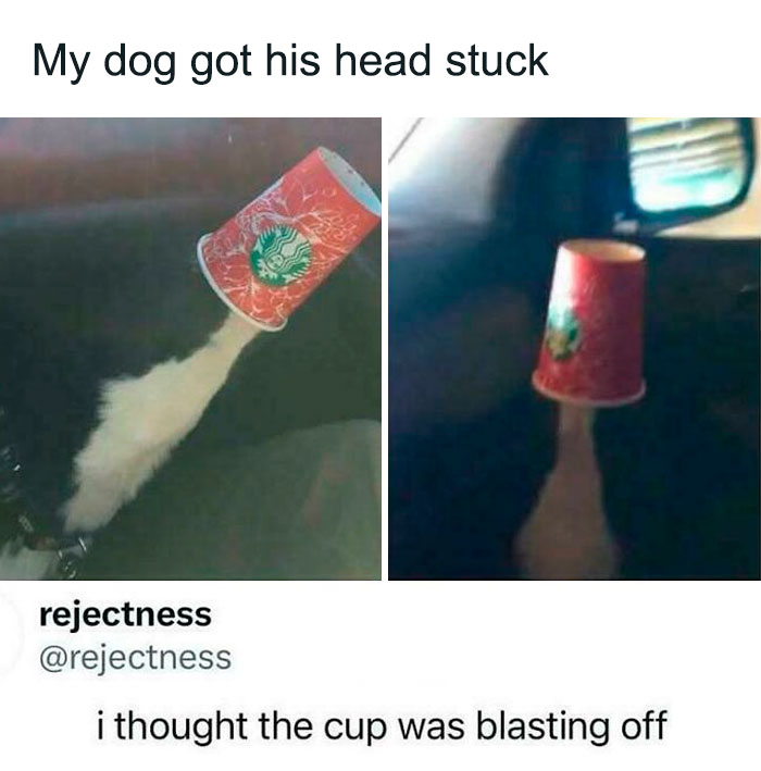 Roses Are Red, You’d Probably Laugh at This
