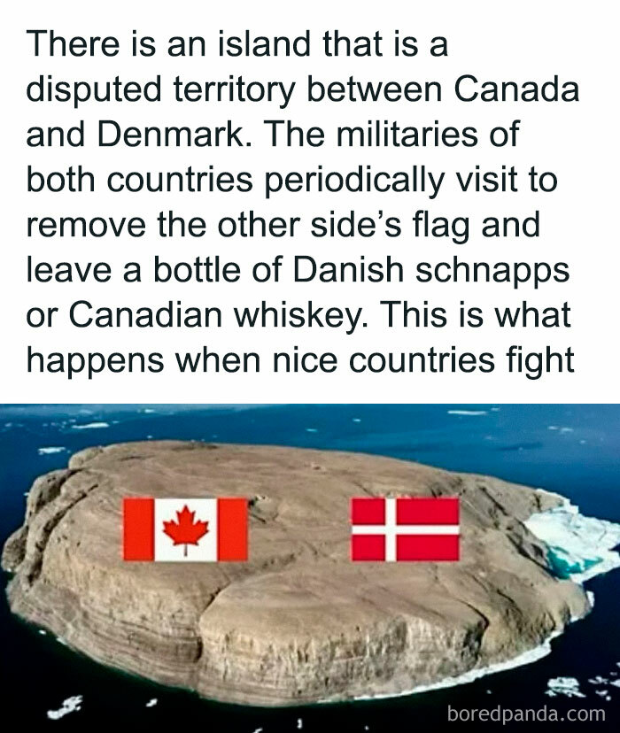Roses Are Red, Are We Even Doing This Right?