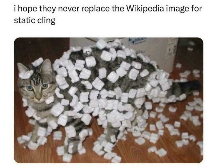 Roses Are Red, Sometimes I Like To Sing (Off-Key)