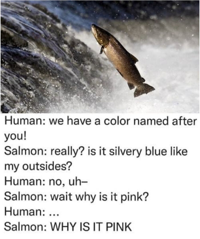 Roses Are Red, Here’s Some Info That’ll Sink In