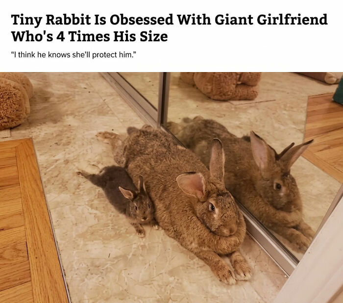 Roses Are Red, Guess What? I Won a Prize!