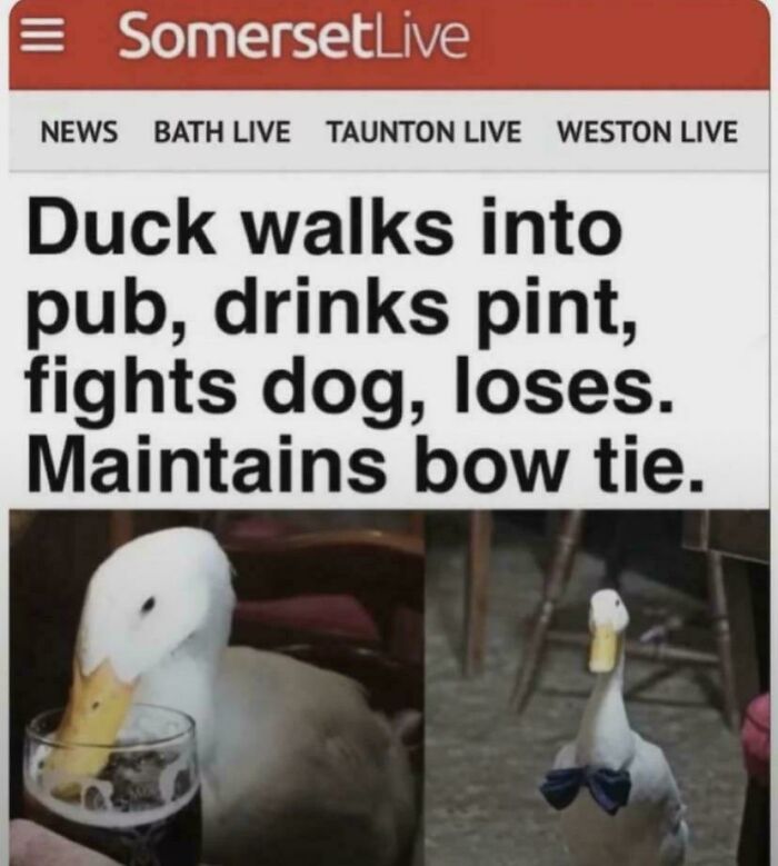 Roses Are Red, I Can't Tell a Lie