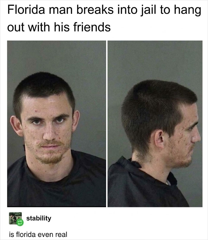 Roses Are Red, The Cycle Just Keeps Going