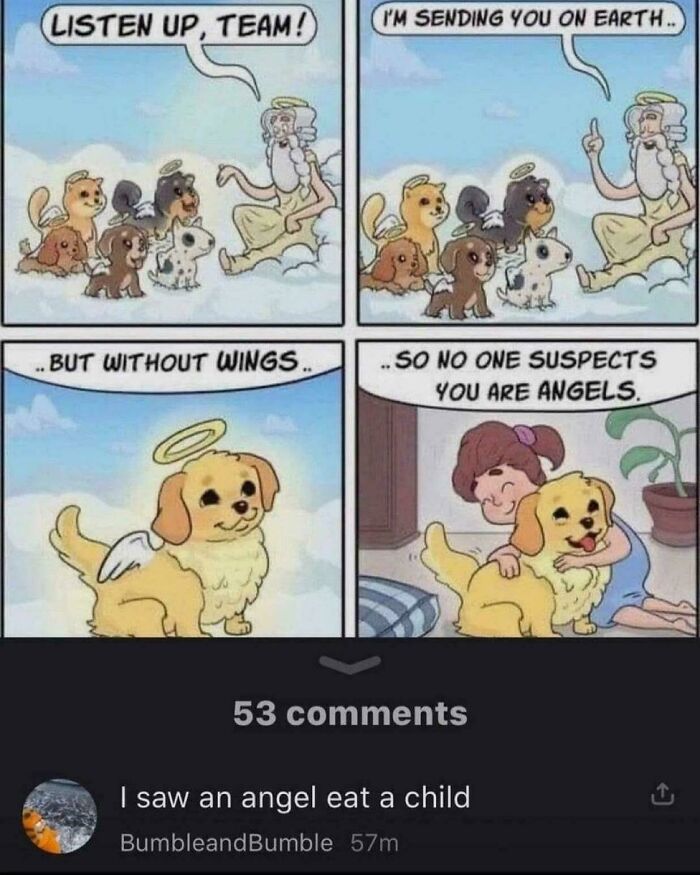 Roses Are Red, This One’s Wild!