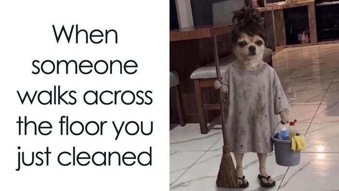 The 60 Funniest Memes That’ll Make You Go ‘Yep, That’s Me!’