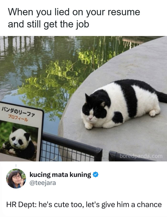 The 60 Funniest Memes That’ll Make You Go ‘Yep, That’s Me!’