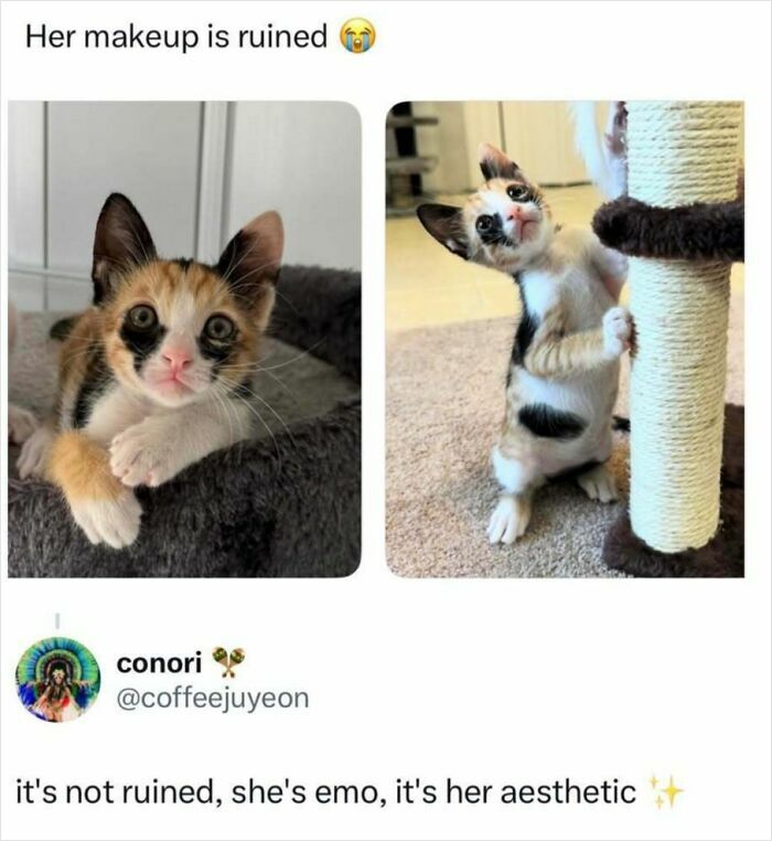 The 60 Funniest Memes That’ll Make You Go ‘Yep, That’s Me!’