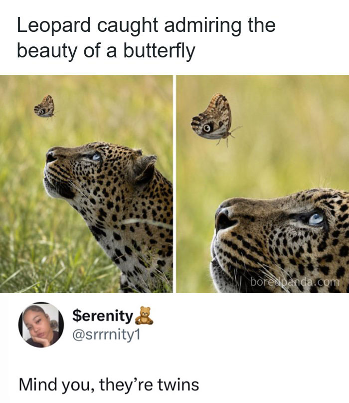 The 60 Funniest Memes That’ll Make You Go ‘Yep, That’s Me!’