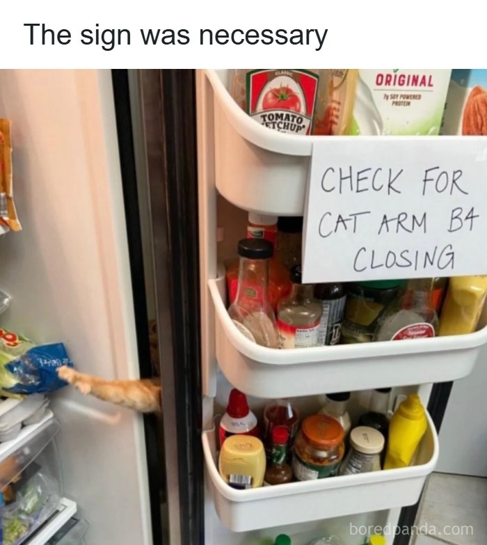 The 60 Funniest Memes That’ll Make You Go ‘Yep, That’s Me!’