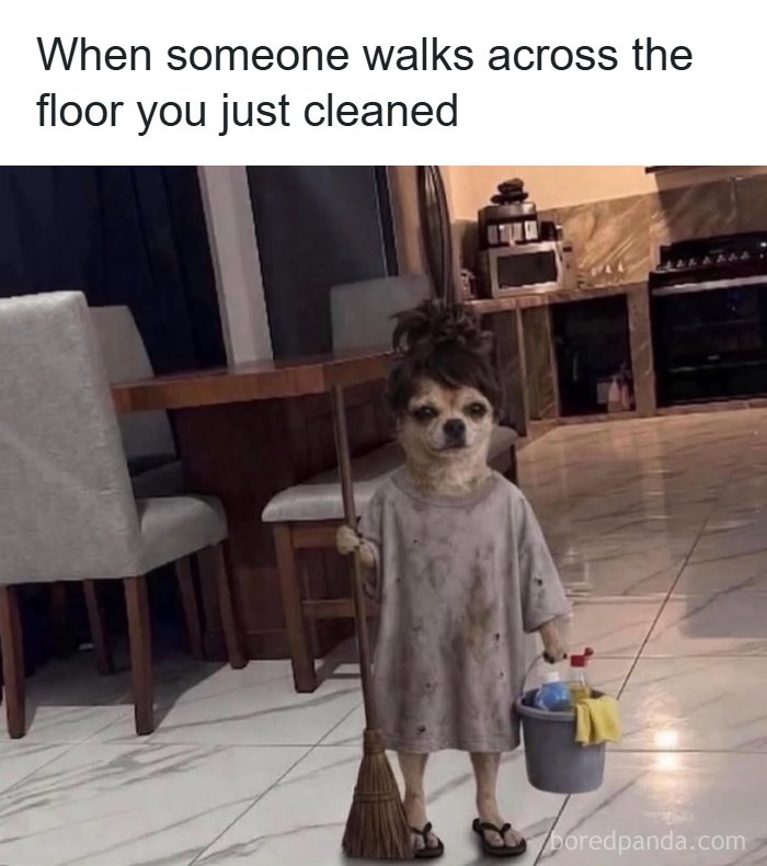 The 60 Funniest Memes That’ll Make You Go ‘Yep, That’s Me!’