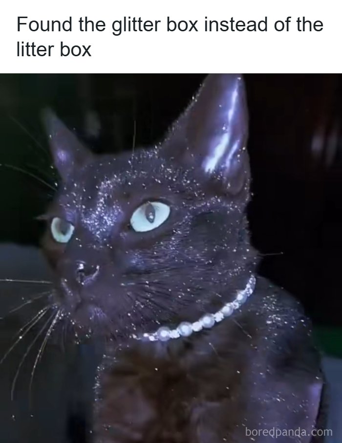 The 60 Funniest Memes That’ll Make You Go ‘Yep, That’s Me!’