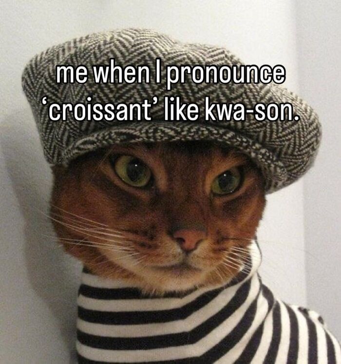 The 60 Funniest Memes That’ll Make You Go ‘Yep, That’s Me!’