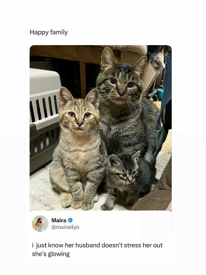 The 60 Funniest Memes That’ll Make You Go ‘Yep, That’s Me!’