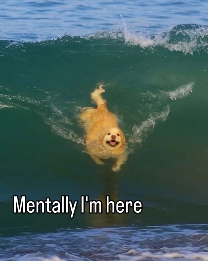The 60 Funniest Memes That’ll Make You Go ‘Yep, That’s Me!’