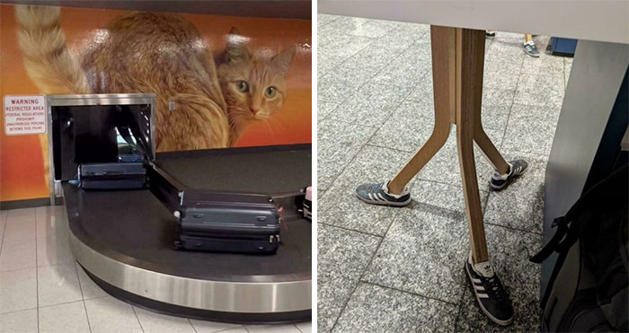 56 Hilarious Airport Moments That’ll Totally Distract You From Your Flight