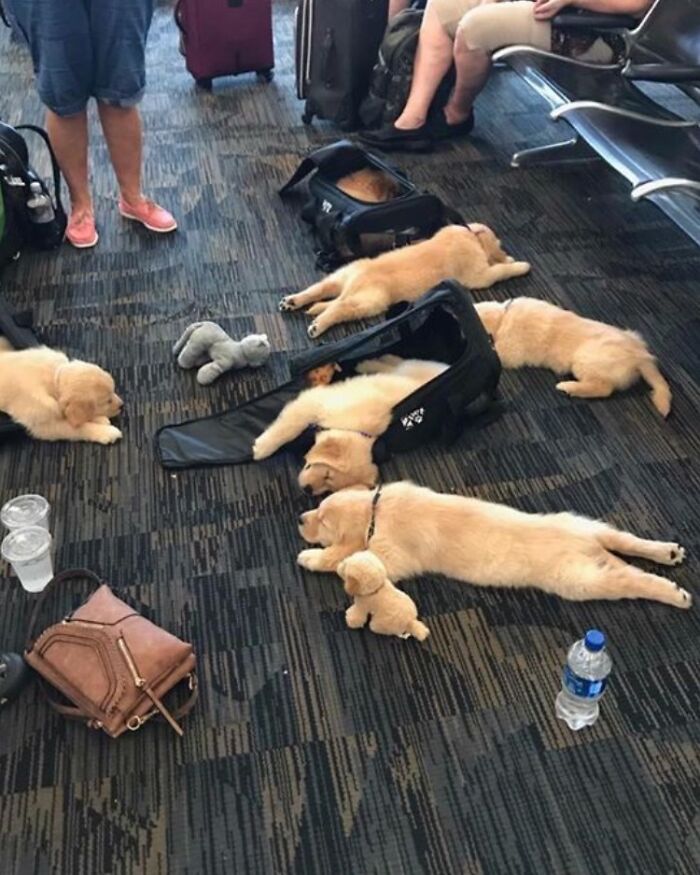 Just Another Day At The Airport… Or Is It?