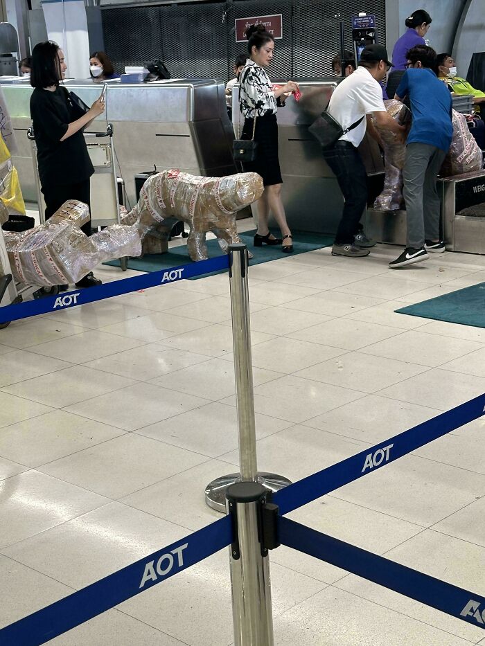 Airport Check-In Woes? This Picture Sums It Up
