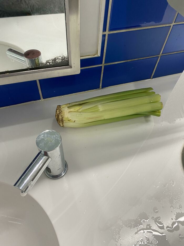 Lo and Behold: Found In Charlotte Airport Men’s Room