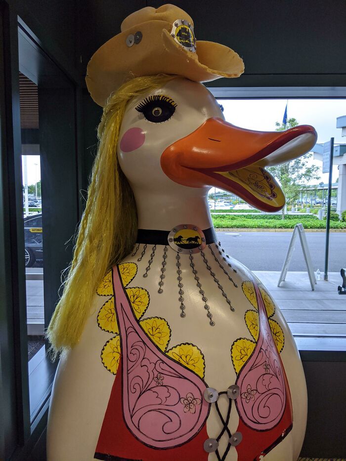 Why Is There A Duck Just Chilling In The Airport?