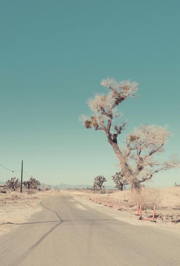 Wait, This Photographer Turned Forgotten Western Roads Into Magic (29 Pics)