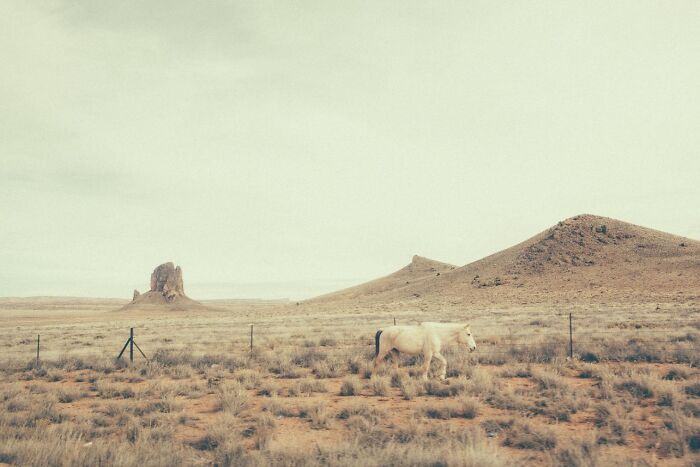 Wait, This Photographer Turned Forgotten Western Roads Into Magic (29 Pics)