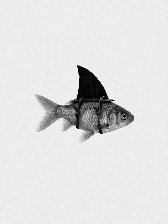 33 Mind-Boggling Surreal Pics That’ll Twist Your Brain (By Marcus Wallinder)