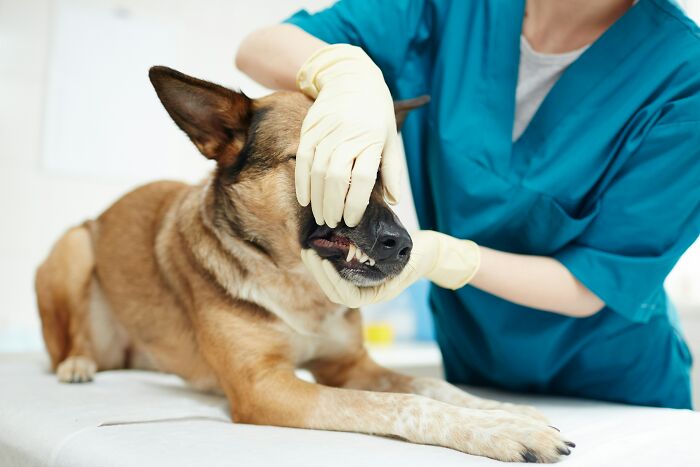 Wait, People Actually Lie THIS Much to Their Doctors? (62 Hilarious Examples)