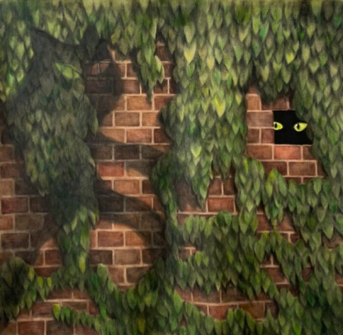 The Peeping Tomcat