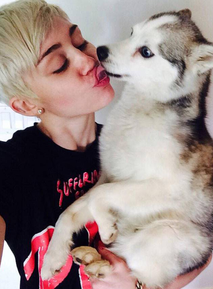 Miley’s Pets Floyd & Mary Jane: The Paws That Left Big Paw Prints