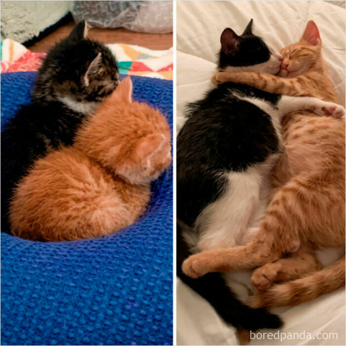 How It Started vs. How It’s Going