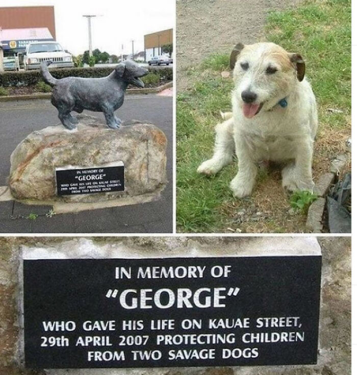 One Exceptionally Good Boy