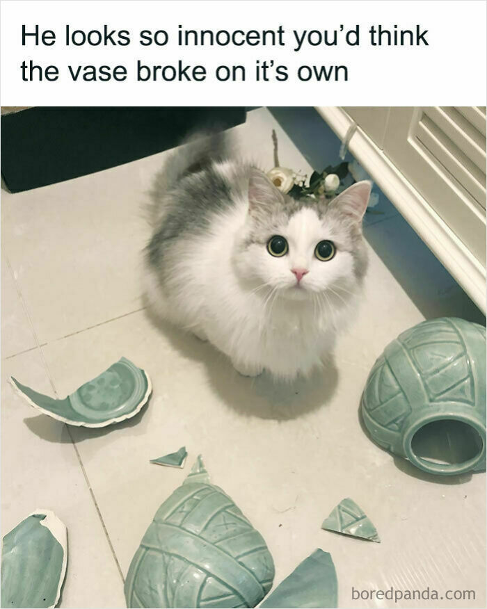 Innocence Overload