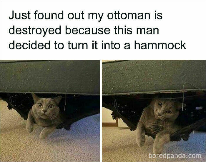 Just Hanging Around