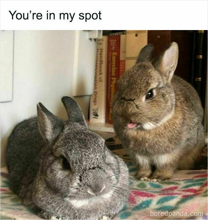 You’re Sitting In My Spot!
