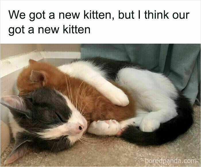 No Words, Just Hugs