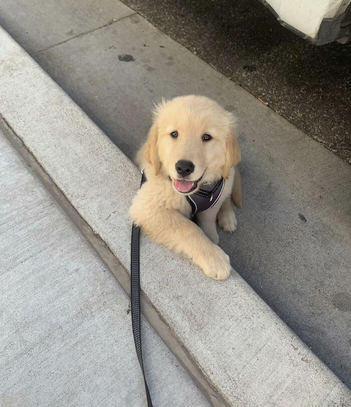 Hey There, How’s It Going?
