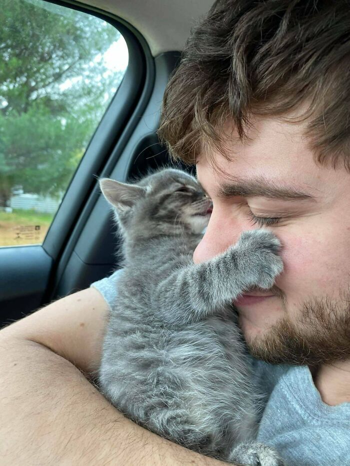 Get Ready to Smile: 50+ Animal Pics That Are Basically Happiness in a Snapshot