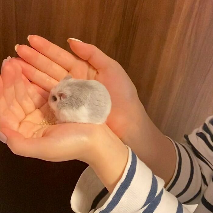 Get Ready to Smile: 50+ Animal Pics That Are Basically Happiness in a Snapshot