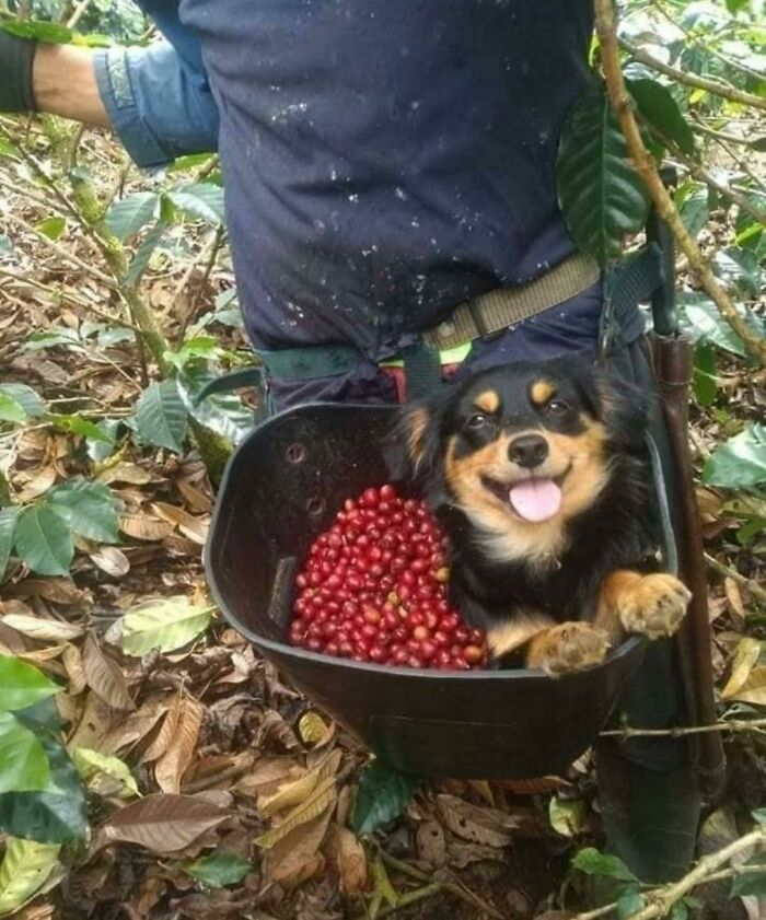 Get Ready to Smile: 50+ Animal Pics That Are Basically Happiness in a Snapshot