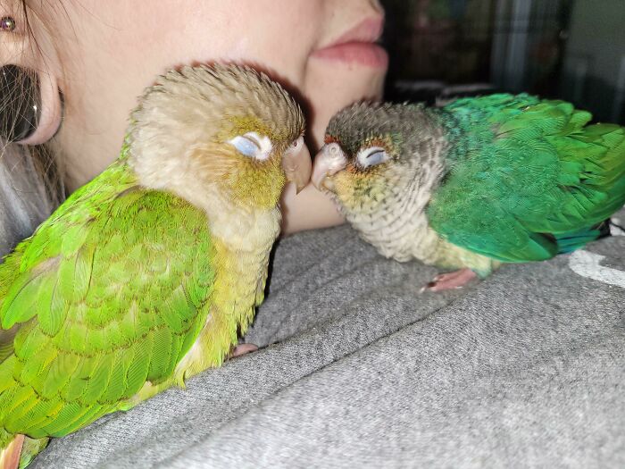 Get Ready to Smile: 50+ Animal Pics That Are Basically Happiness in a Snapshot
