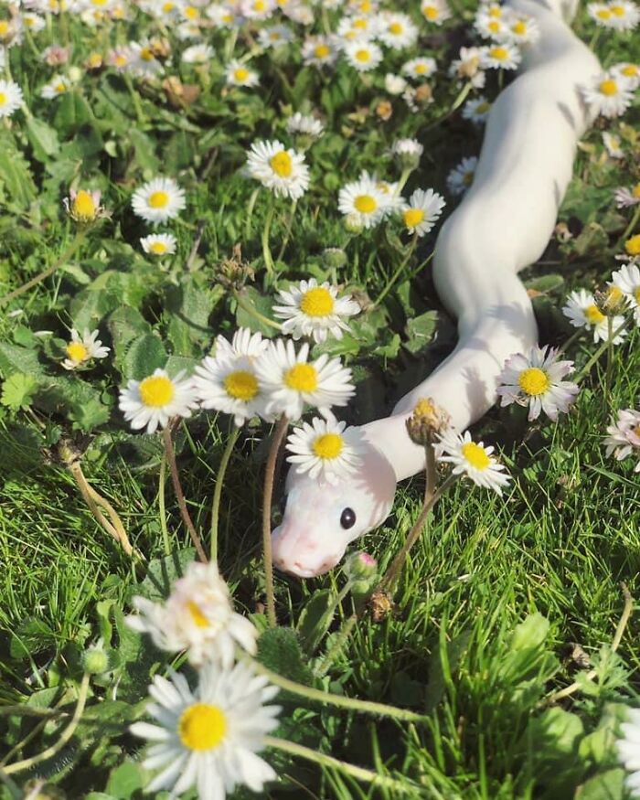 Get Ready to Smile: 50+ Animal Pics That Are Basically Happiness in a Snapshot