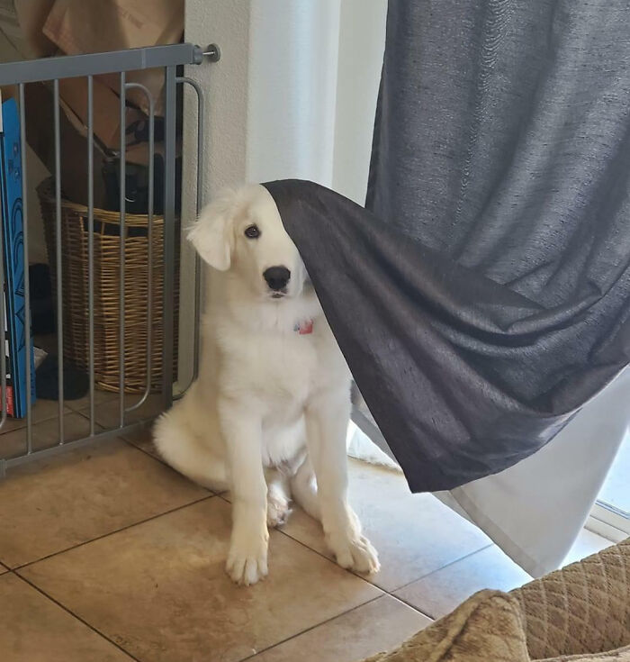 Get Ready to Smile: 50+ Animal Pics That Are Basically Happiness in a Snapshot